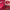 hince RAW Glow Gel Tint R010 RAW Cherry, 4ML